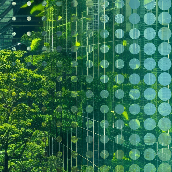 Decarbonize NYC